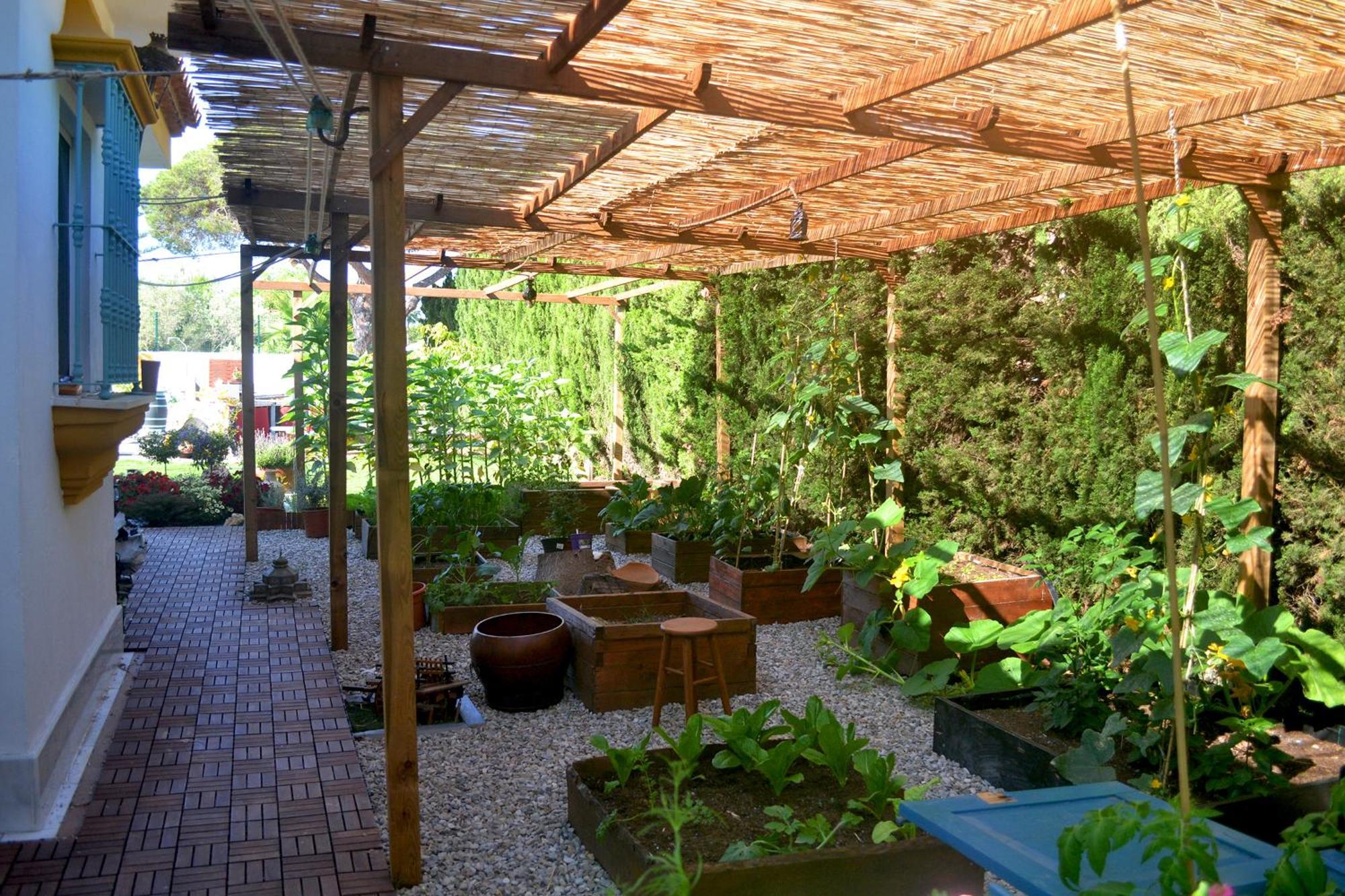 Chalets En Sancti Petri Novo Sancti Petri Εξωτερικό φωτογραφία